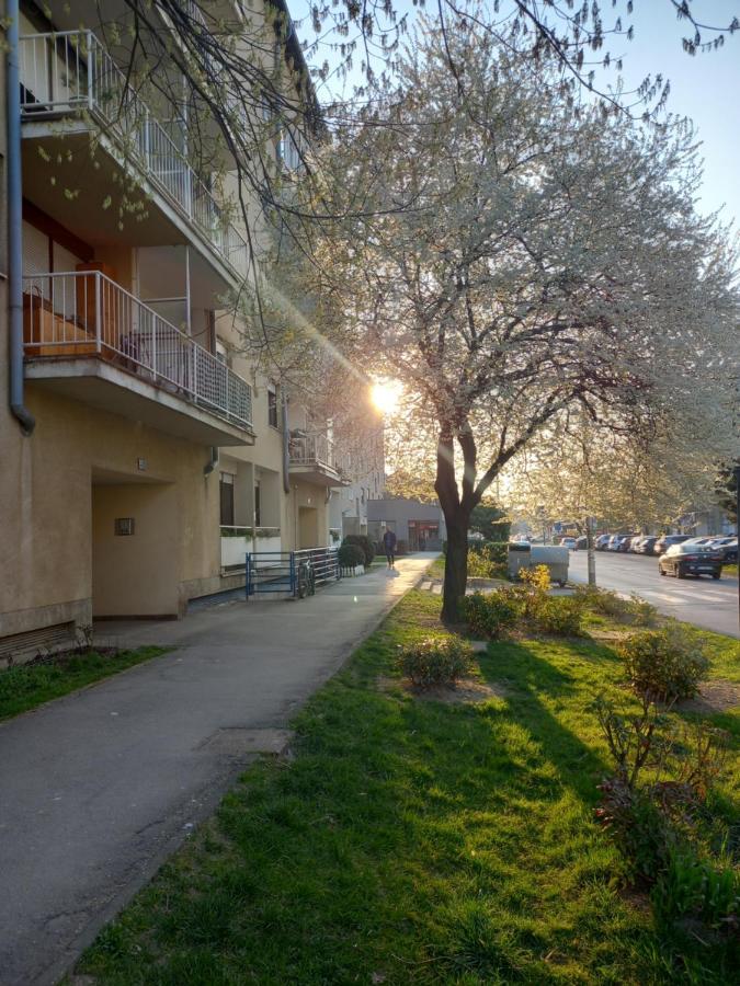 Apartment Jarun Comfort Zagreb Bagian luar foto
